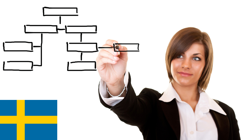 Sweden - 1. Organisations