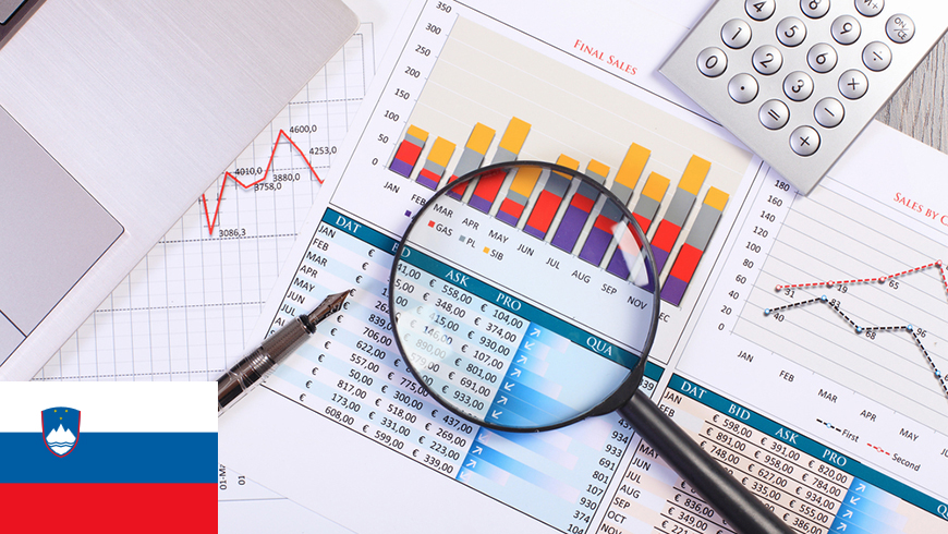 Slovenia - 4. Financial Policy