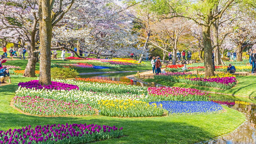 Publication "The Europe of gardens"