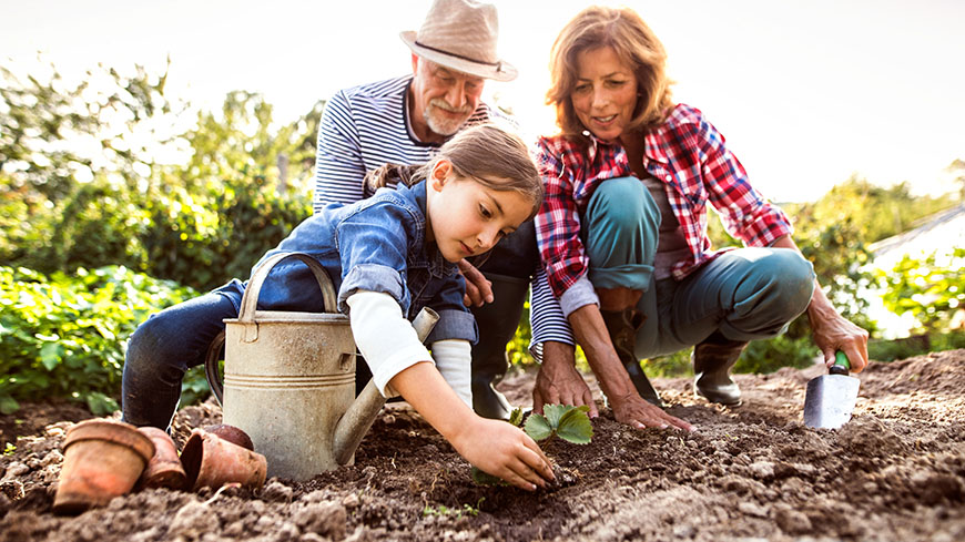 European Rendez-vous in Gardens 2021: The transmission of knowledge