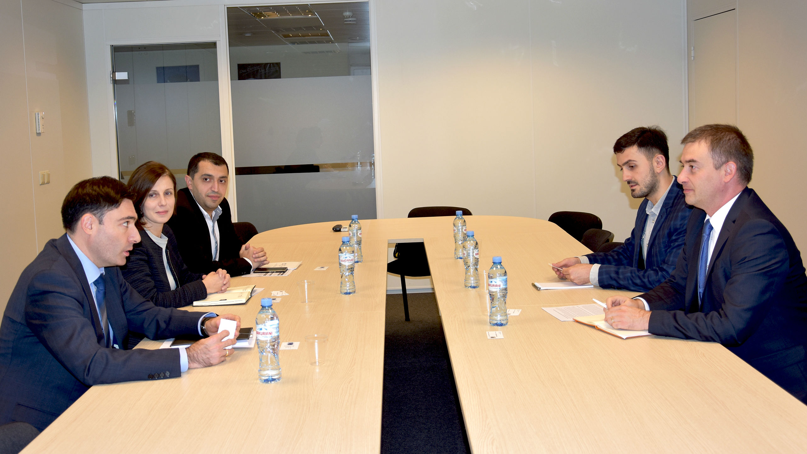 Head of Council of Europe Office in Georgia meets with newly-installed Auditor General Irakli Mekvabishvili