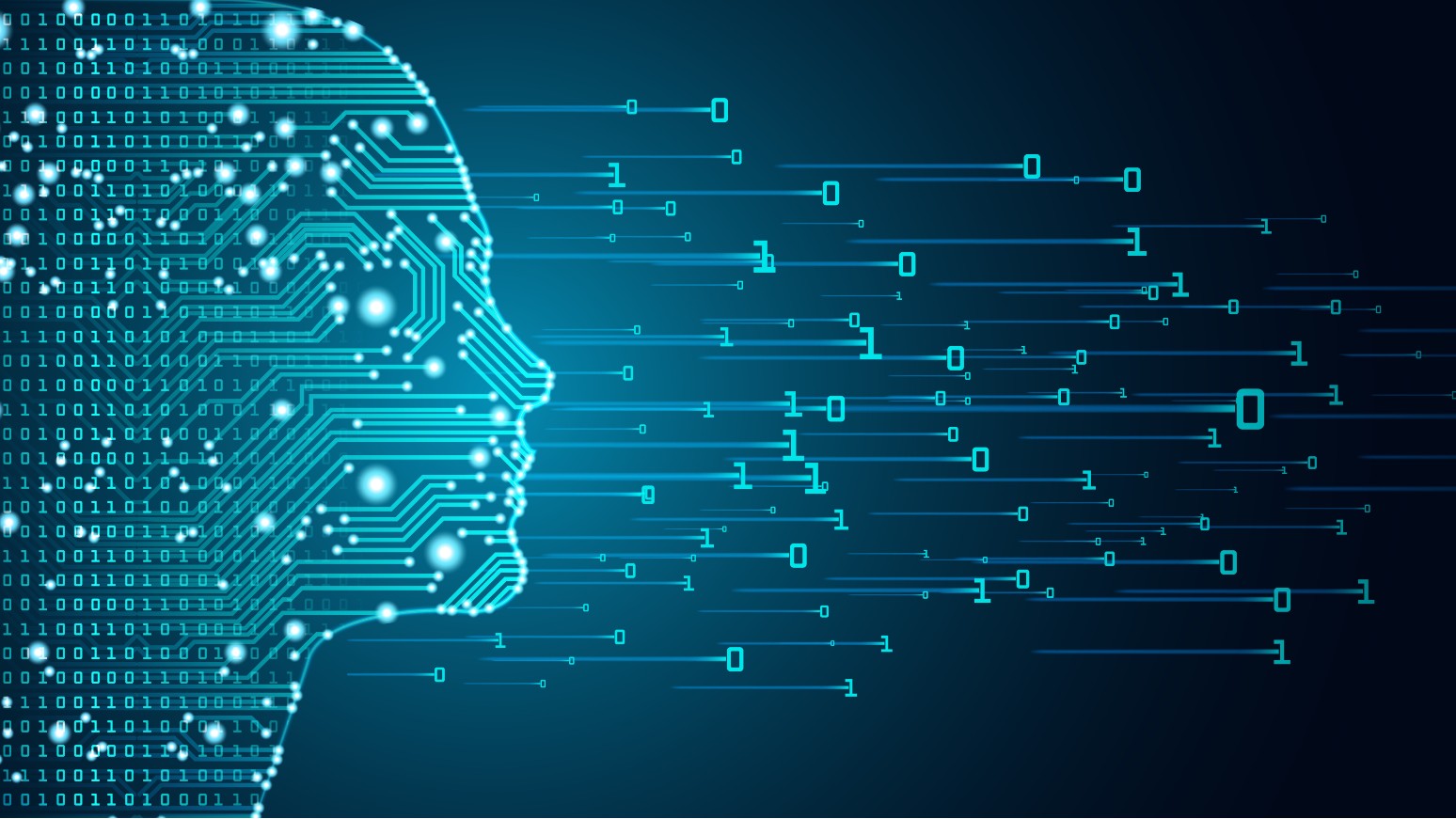 Launch of the Project Action in the field of Artificial Intelligence and Personal Data Protection
