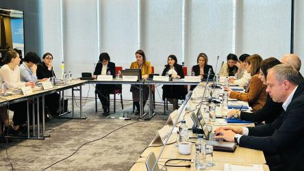 1st Steering Committee meeting of the Project “Further Enhancement of Social and Economic Rights in Georgia”