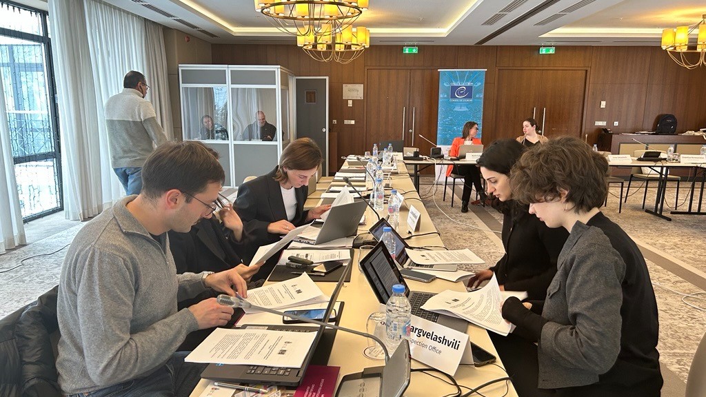 Improving the quality of Georgia’s national reports to the European Committee of Social Rights