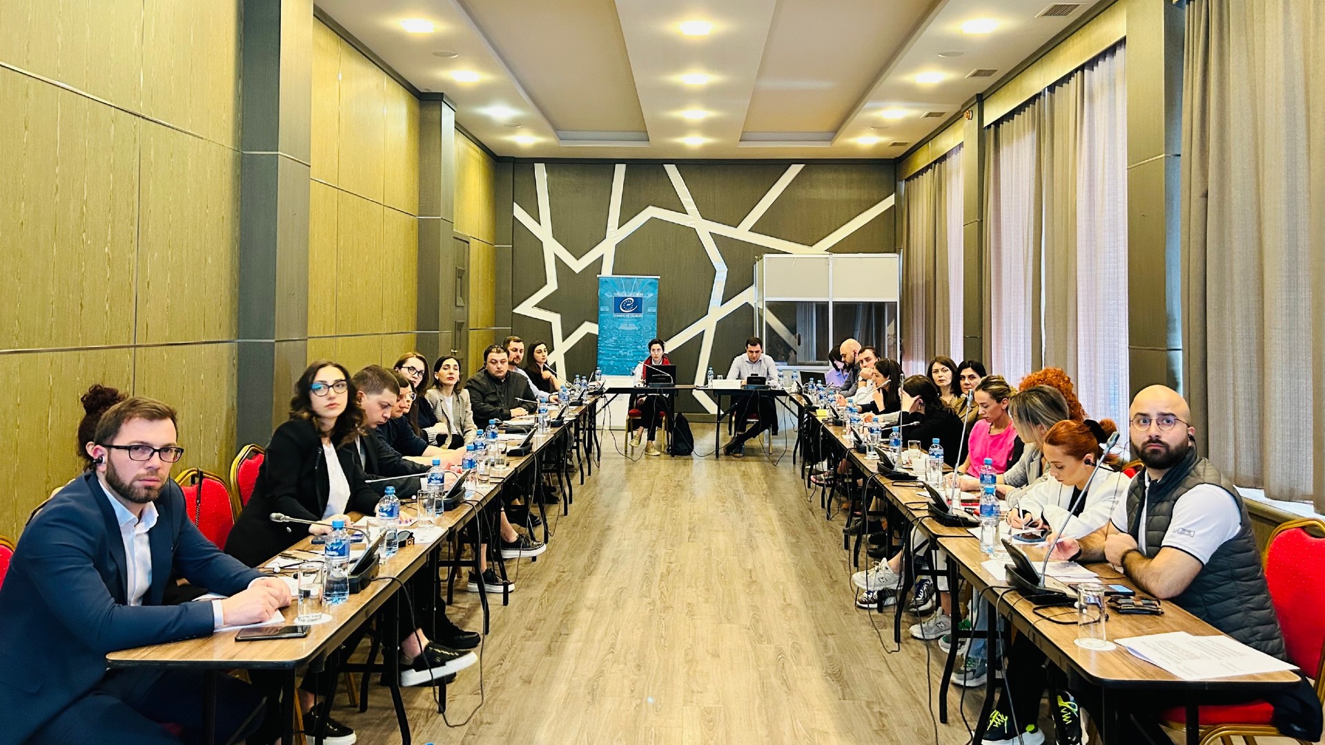 European Standards and Child Labour in Georgia – Council of Europe Organized the training for Labour Inspection Service