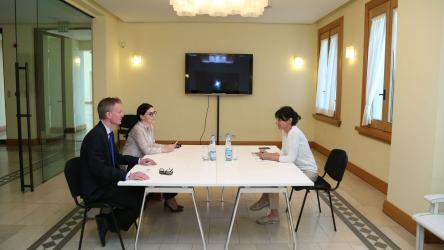 Meeting with the Advisor to the President of Georgian on National Minority Issues