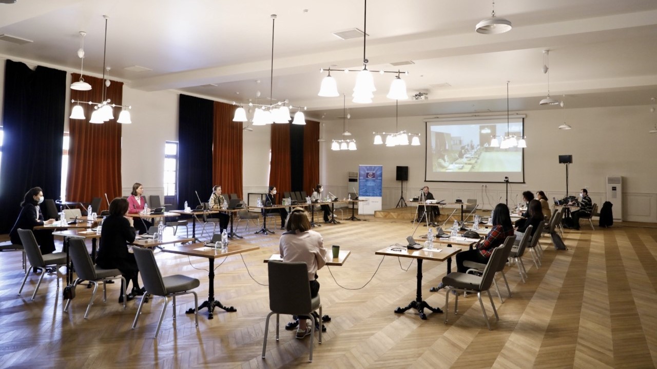 Workshop on “Freedom of Expression and Audiovisual Services” organised for the staff of the Parliament of Georgia