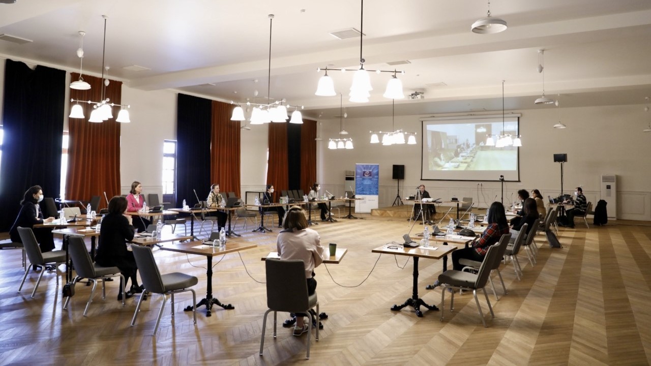 Workshop on “Freedom of Expression and Audiovisual Services” organised for the staff of the Parliament of Georgia