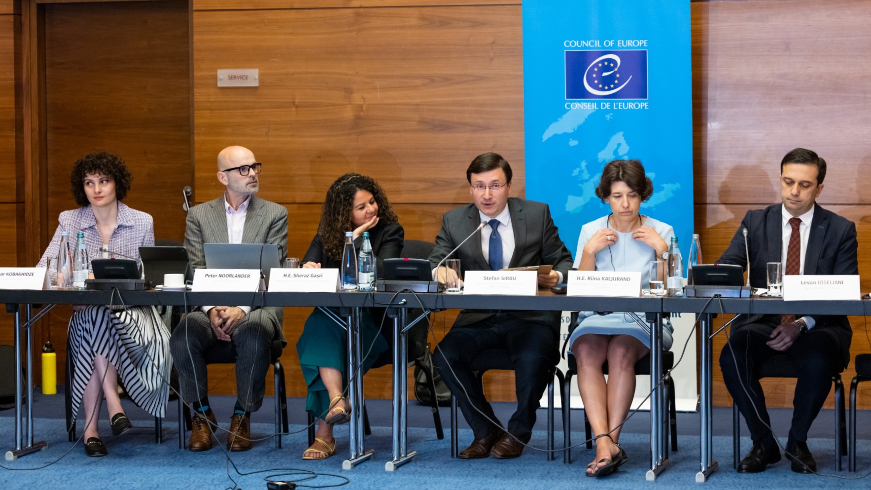 Discussion on the legislation and practice of Georgia regarding the protection and safety of journalists