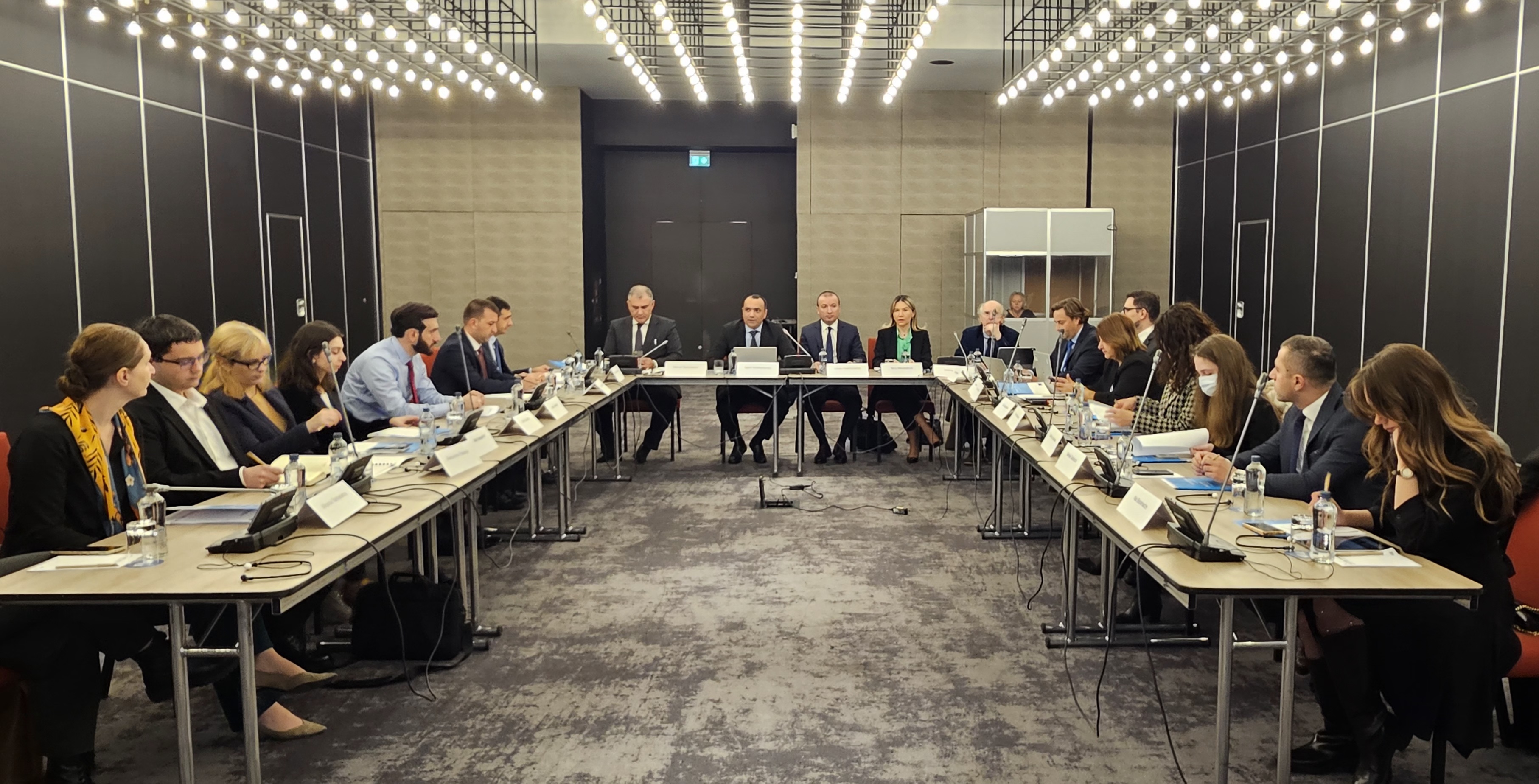 Workshop on the National Strategy for the Execution of Judgments of the European Court of Human Rights for Georgia