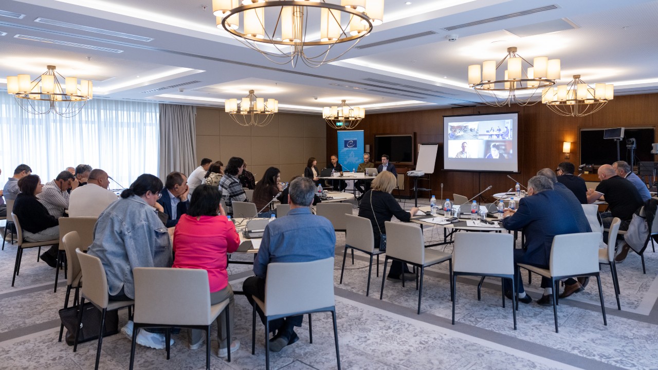 National and ethnic minorities from Georgia discussed electoral challenges and way forward
