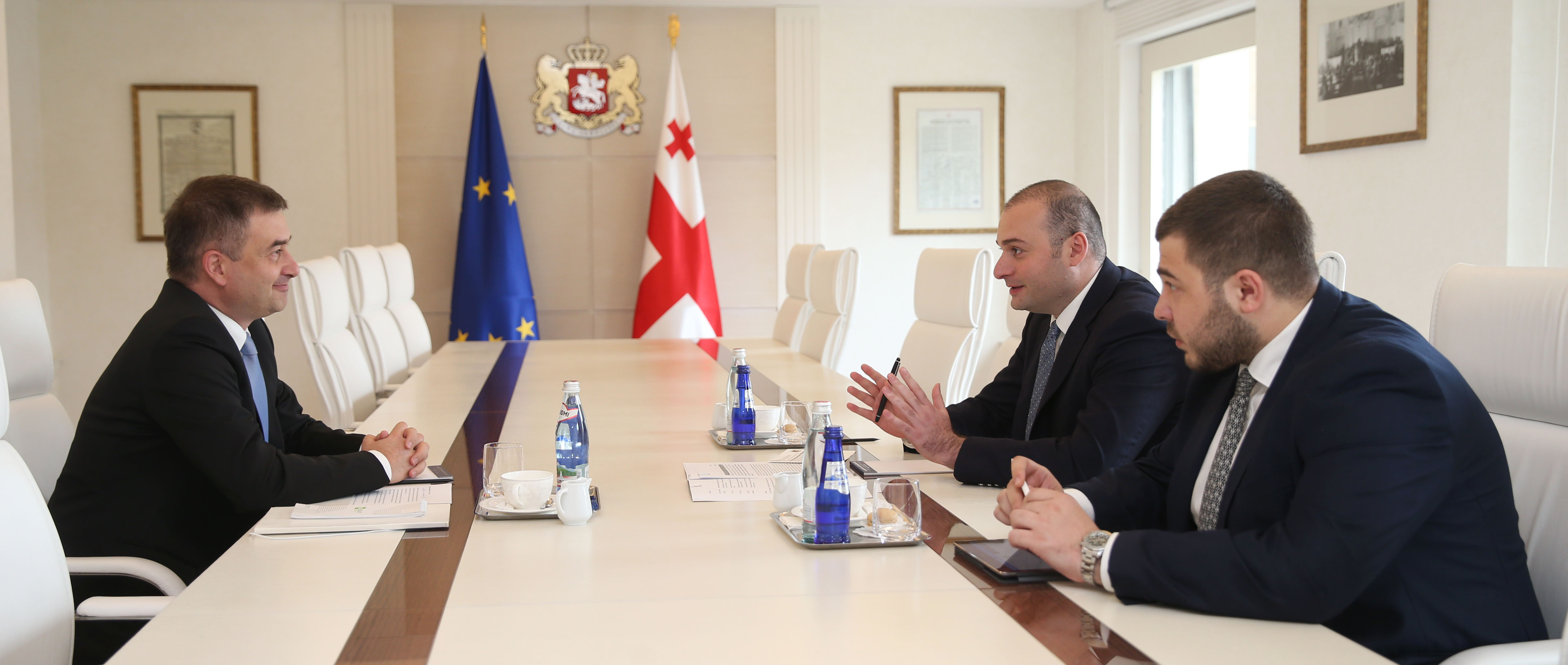 The Head of the Council of Europe Office in Georgia met with the Prime Minister