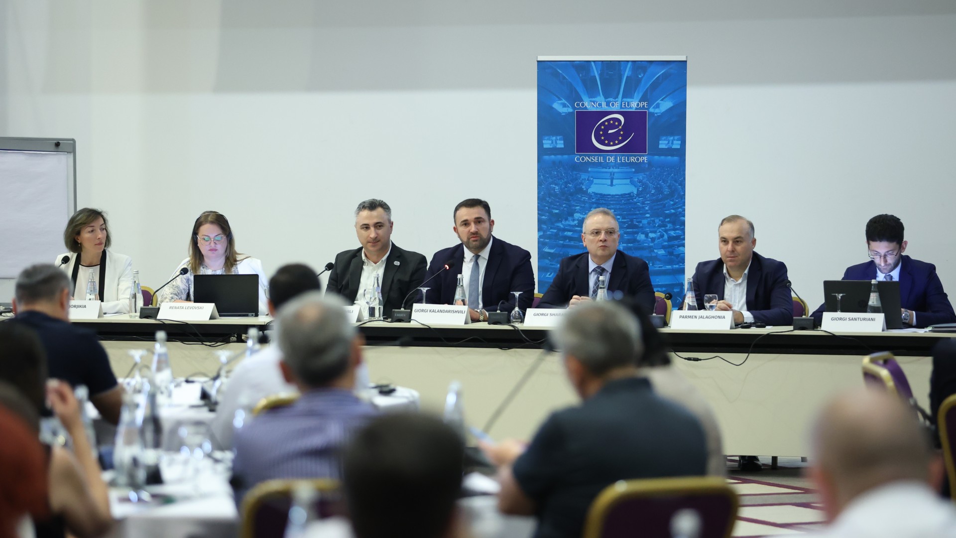 მოსამართლეებმა ციფრულ ეპოქაში საარჩევნო დავების განხილვის ახალ მიდგომებზე იმსჯელეს