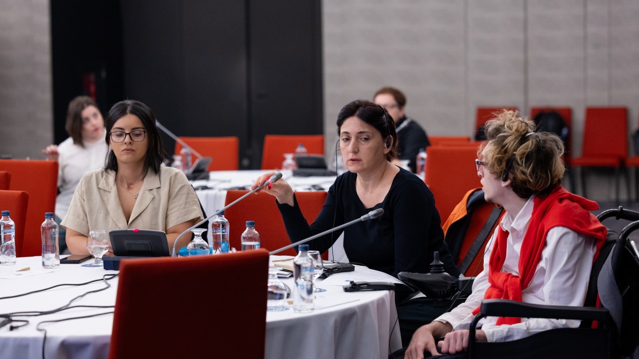 Inclusive democracy in focus: disability and electoral participation workshop held in Georgia