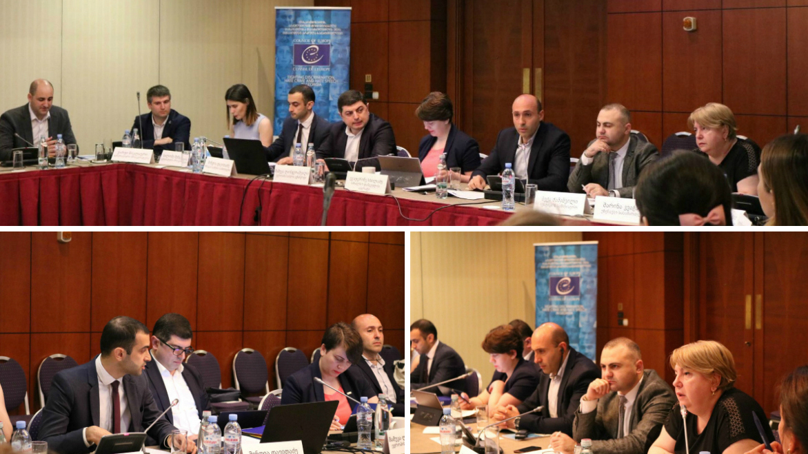 Discussing the progress of the execution of the Judgements of the European Court of Human Rights Group of Cases “Identoba and others v. Georgia”