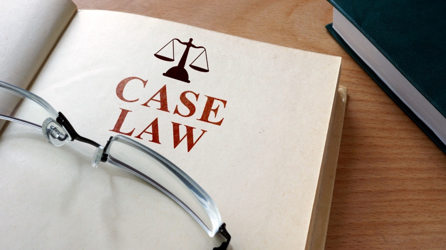 Workshop with Supreme Court judges for better application of the case-law  of the European Court of Human Rights by national courts in Georgia -  Council of Europe Office in Georgia News