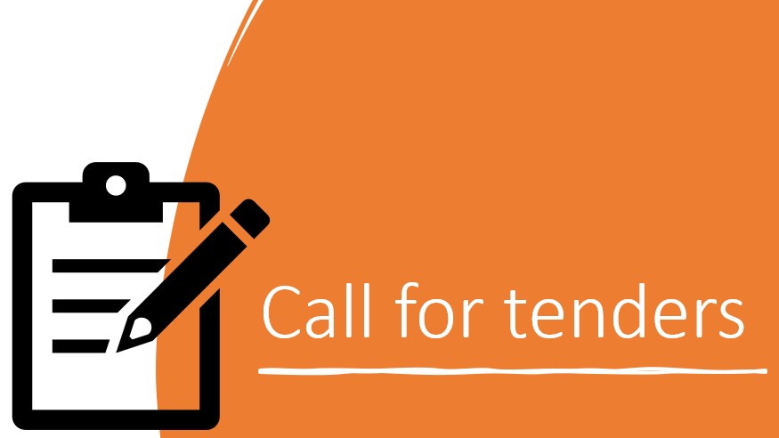 Call for Tenders for International Short-Term Consultancy