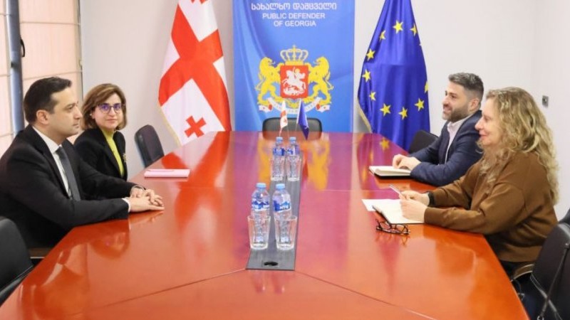 The Head of the Council of Europe Office in Georgia meets with the Public Defender of Georgia