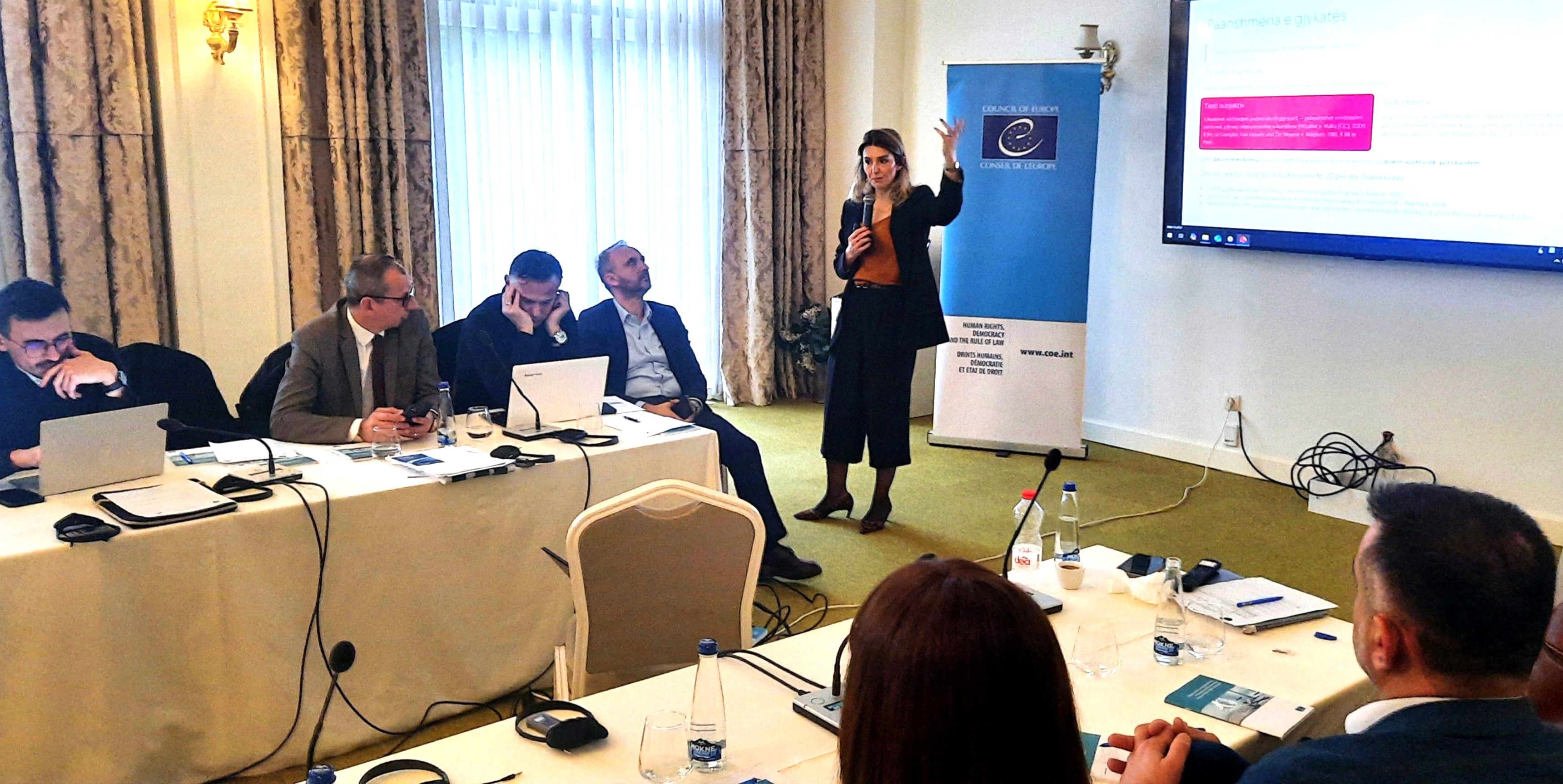 Enhancing application of European Court of Human Rights case law in domestic adjudication