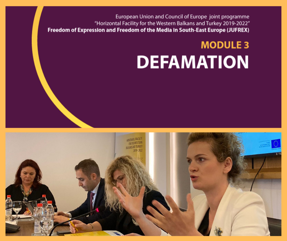 Roundtable with legal professionals on defamation and protection of journalists