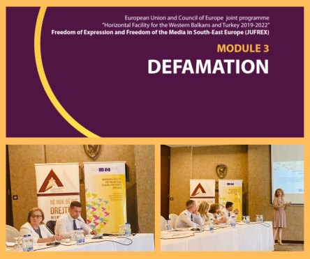 Roundtable on defamation and protection of reputation & safety and the protection of journalists