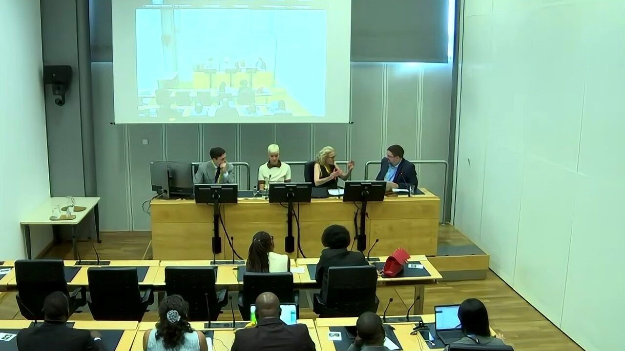 Council of Europe contributes to WSIS event on public trust and AI procurement