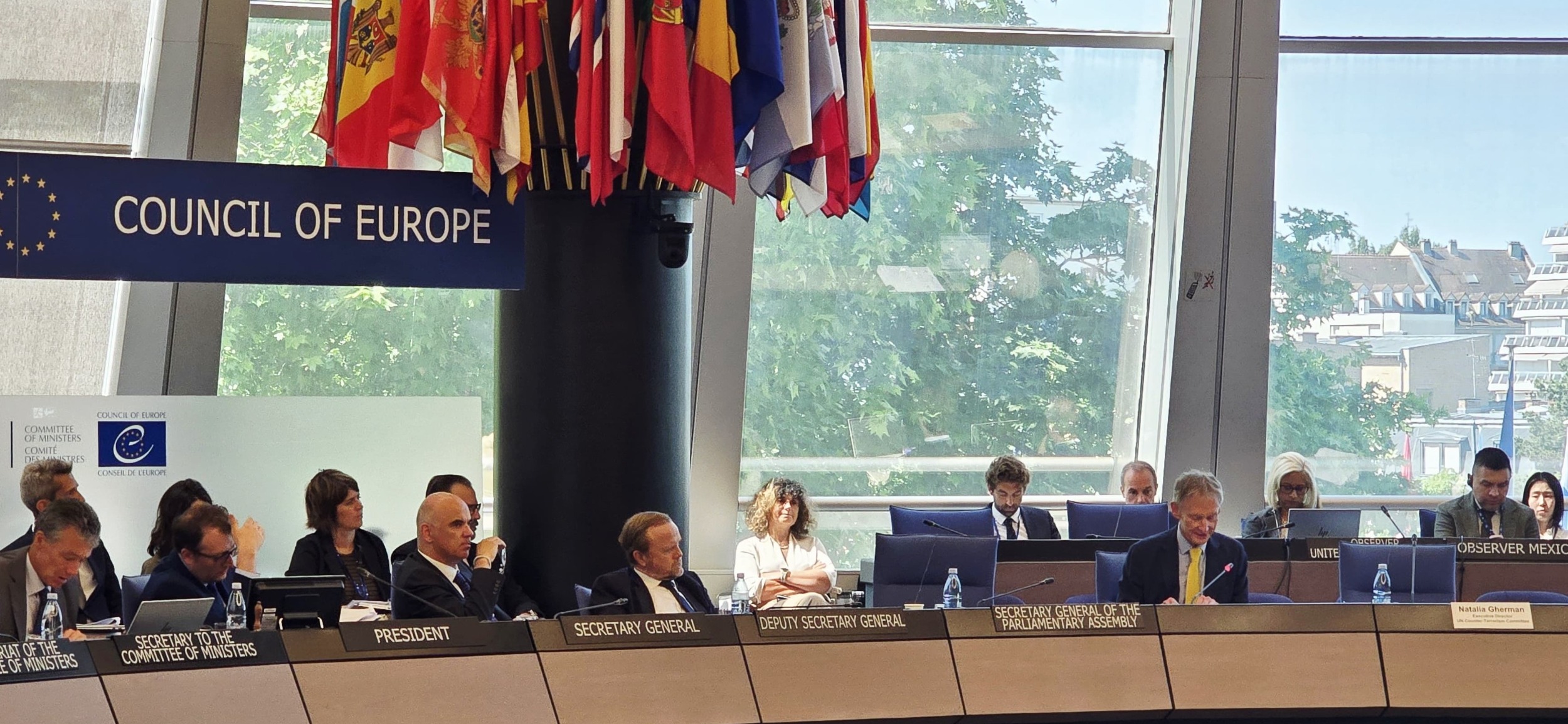 Jörg Polakiewicz, Legal Adviser, Council of Europe