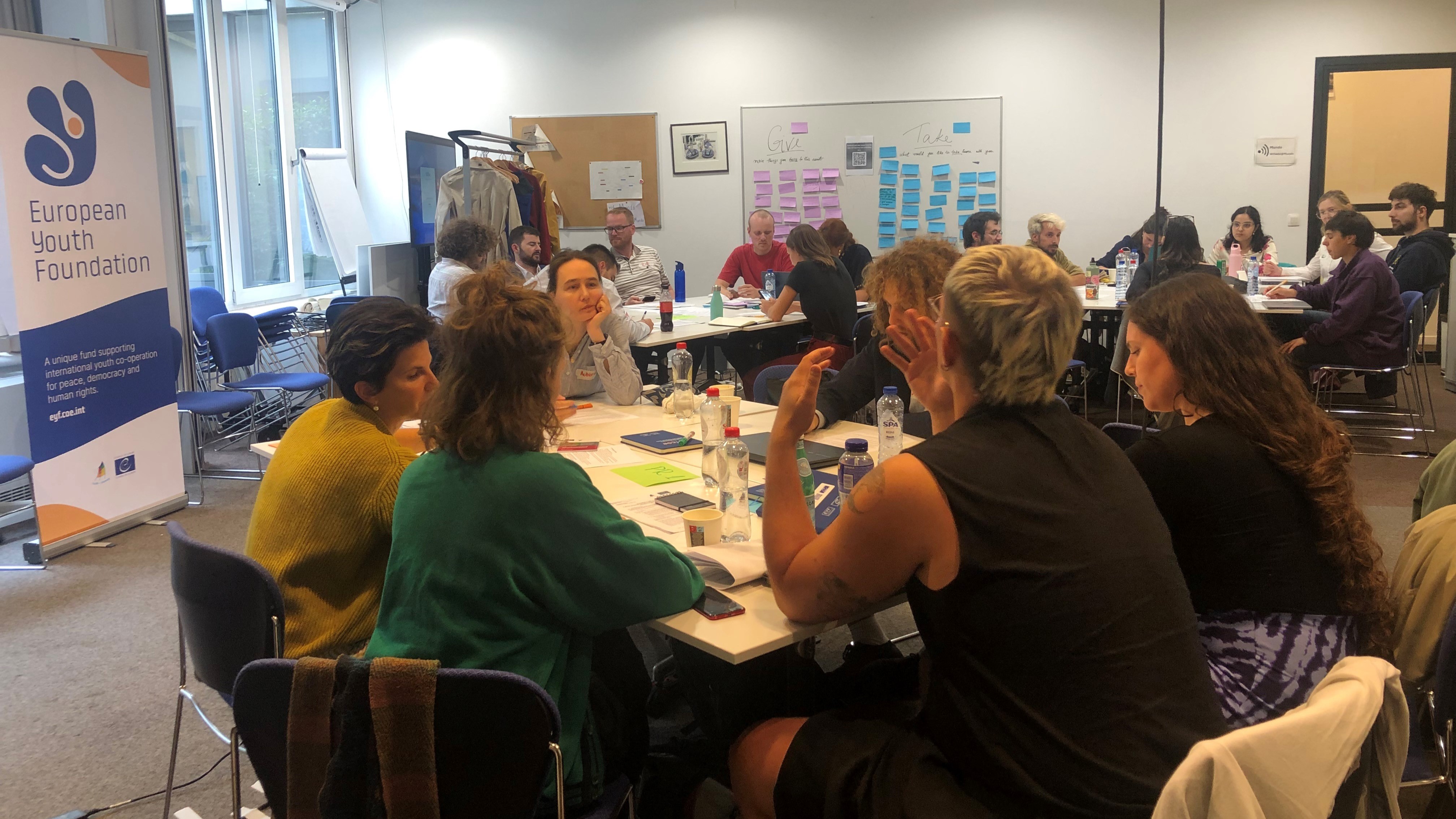 Stronger partnerships with international youth organisations: the EYF Learning and networking days – September edition