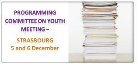 Programming Committee on Youth Meeting
