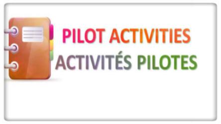 Pilot activity decisions