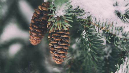 Season's greetings and winter closure