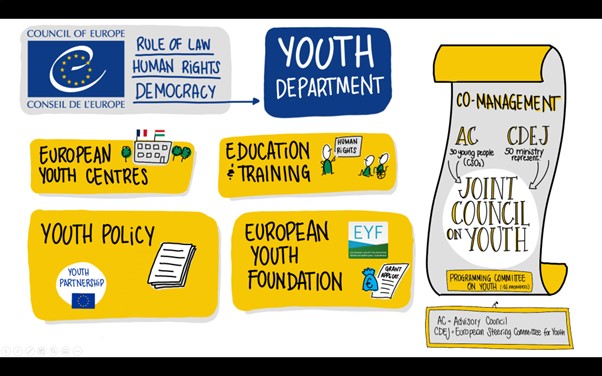 Tisser des liens entre le secteur jeunesse du Conseil de l'Europe et les organisations de jeunesse d'Allemagne