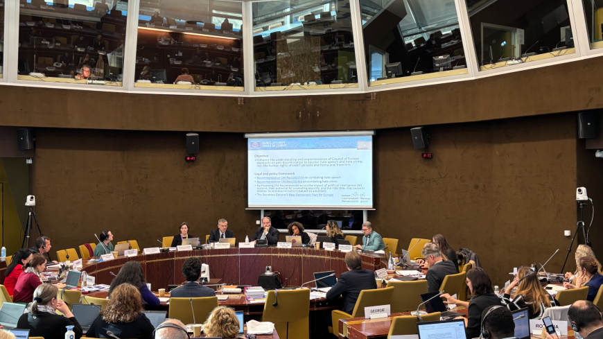 Présentation de la nouvelle initiative des subventions de l'EEE et de la Norvège sur les discours de haine et les crimes de haine lors de la réunion plénière du CDADI