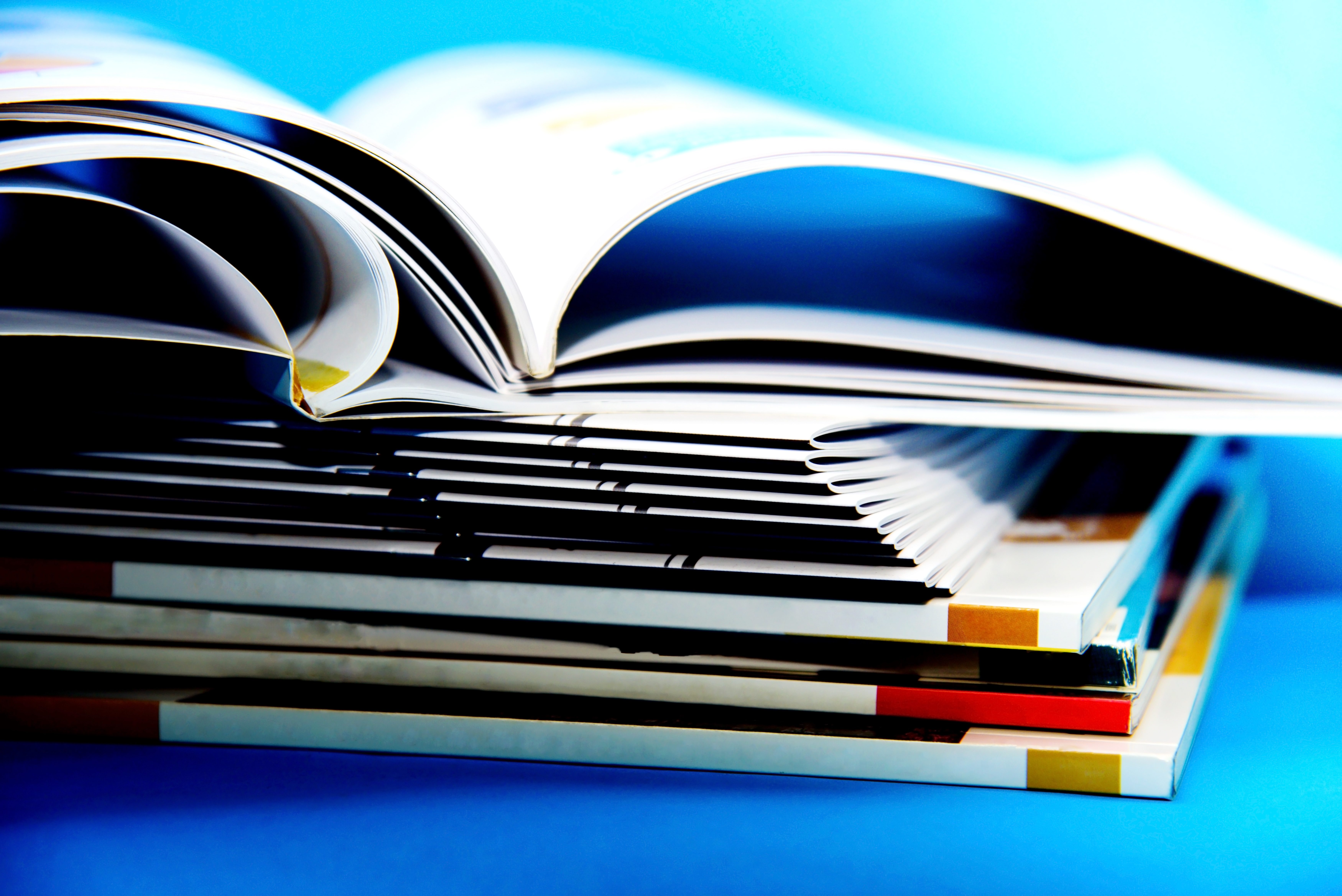 Safeguarding Language Diversity