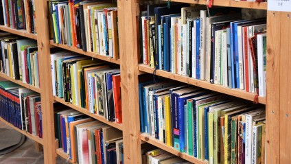 Publications and studies