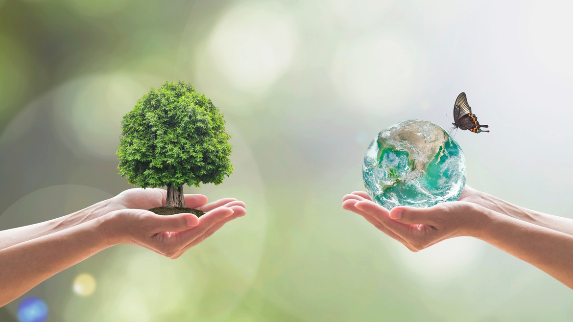 The Working Group on Education for Sustainable Development discusses the way forward