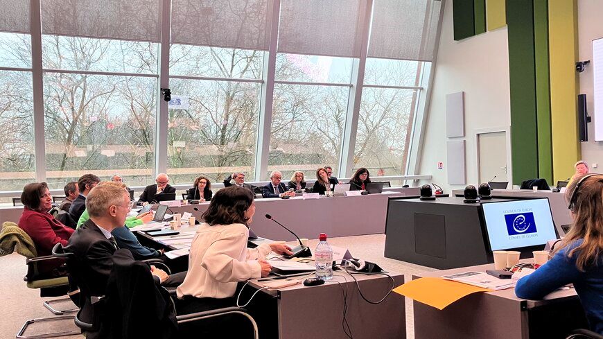 La Vice-présidente du CDADI participe à la deuxième réunion du Secrétaire Générale du Conseil de l'Europe avec les présidents des comités intergouvernementaux