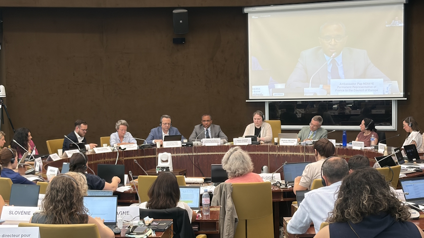 Colloque : « Comment mieux lutter contre la discrimination fondée sur la « race » ou l'origine ethnique ? Explorer et traiter leurs causes profondes »