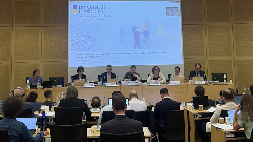 Picture taken during the 13th CDADI meeting