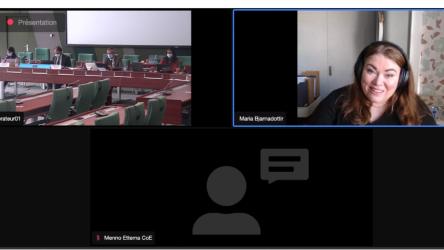 Le Comité d'experts sur la lutte contre les discours de haine (ADI/MSI-DIS) a tenu sa troisième réunion par vidéoconférence