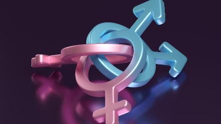 Human rights of intersex people: work launched on new Council of Europe recommendation