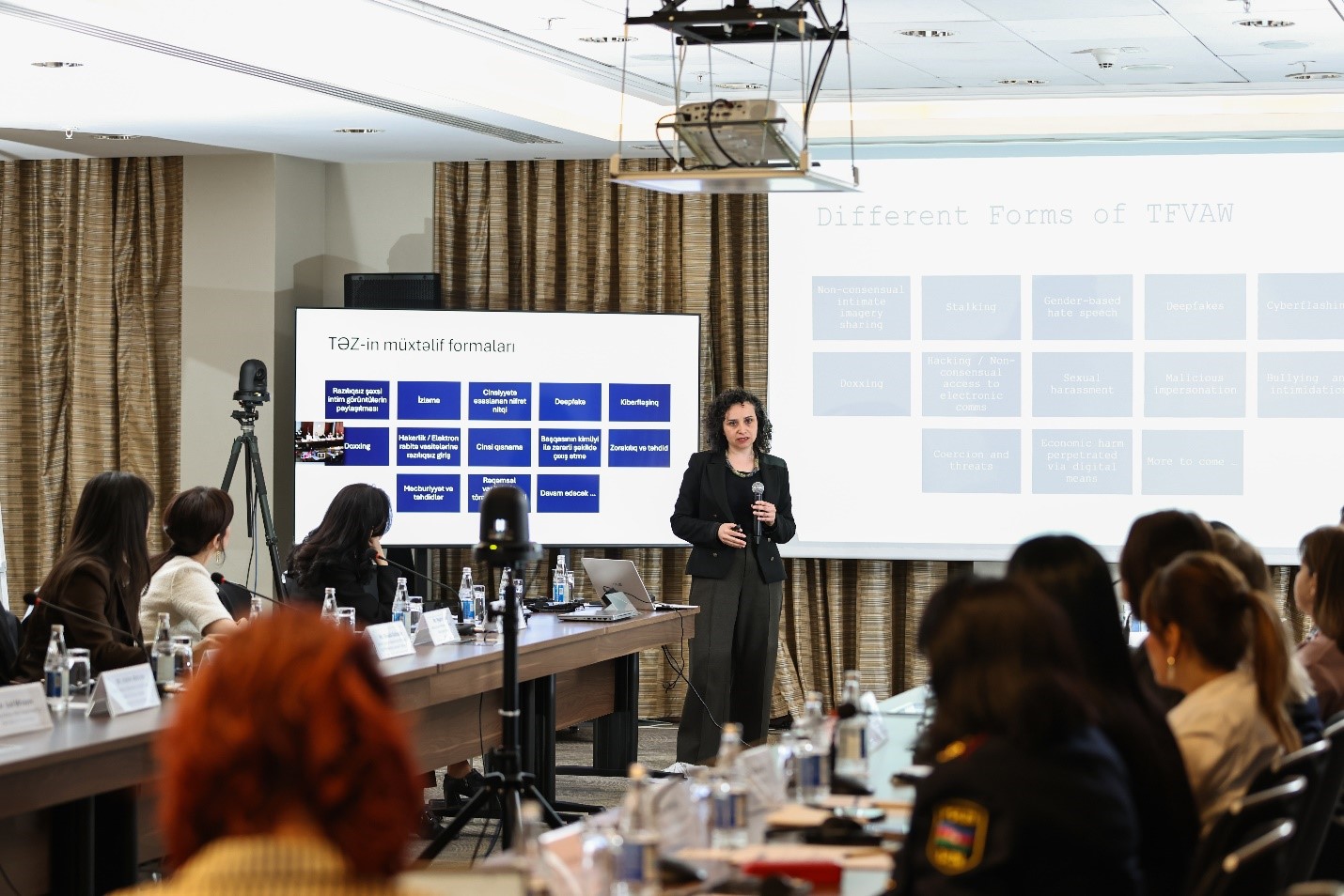 Workshop held in Azerbaijan to strengthen capacities to address psychological and digital violence against women