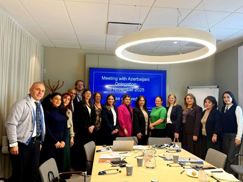 Azerbaijani authorities explore Swedish coordination and protection mechanisms to strengthen national response to violence against women