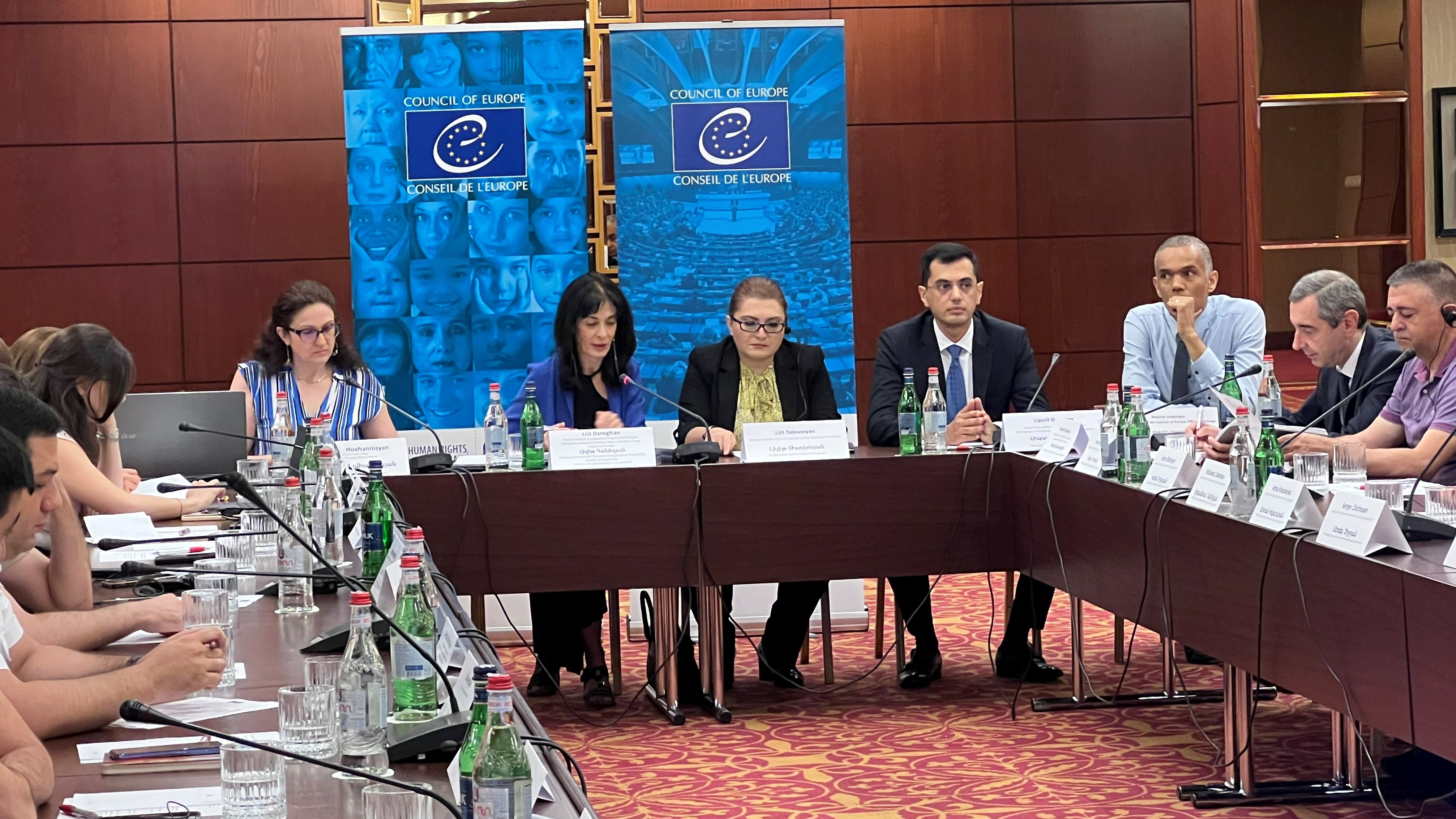 A workshop on reopening of criminal cases at the domestic level following ECtHR judgments and decisions was held