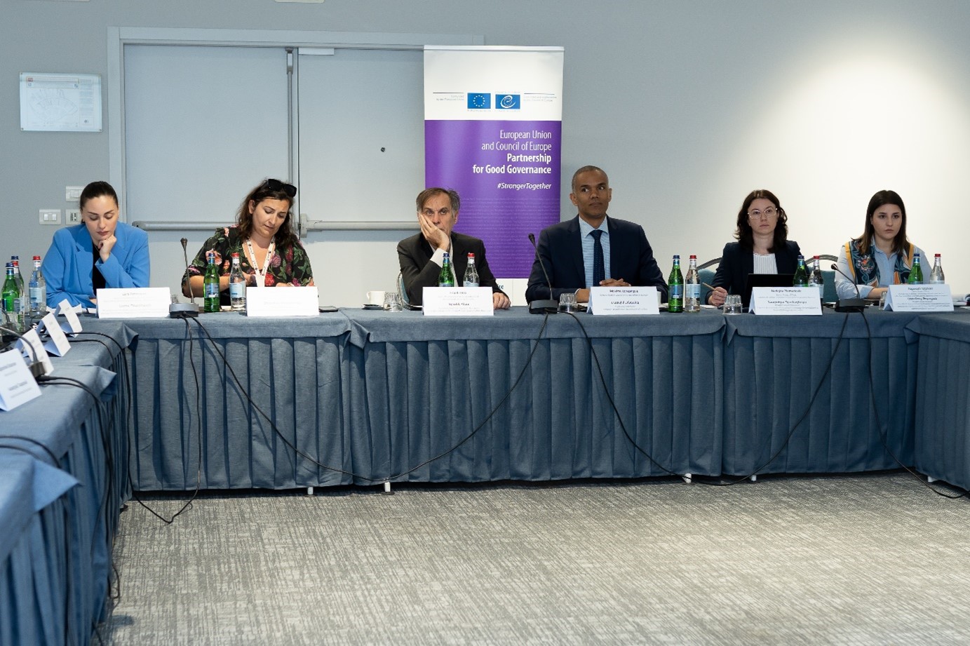 Steering Committee members agree on cooperation priorities under the project 