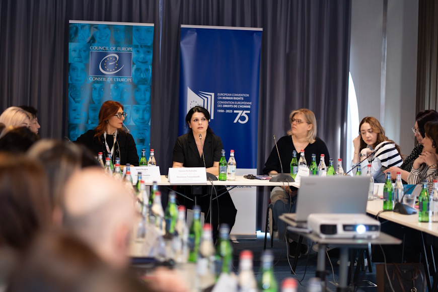 Refugee rights under the European Convention on Human Rights were the focus of the workshop on legal safeguards and the obligations of states in ensuring effective protection