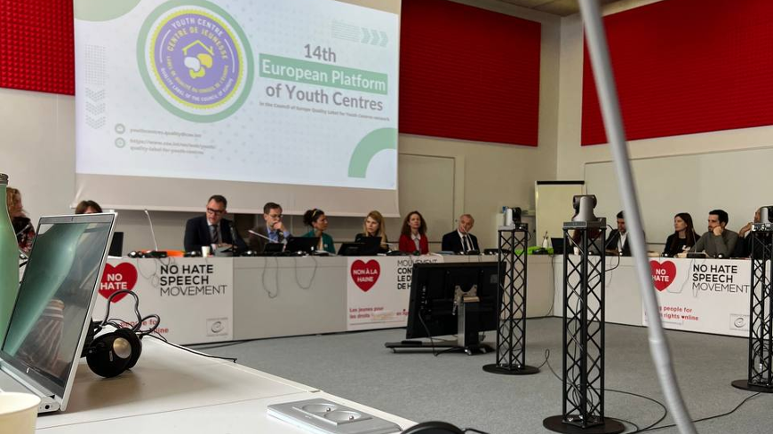 An elephant in the room, or European challenges of youth work