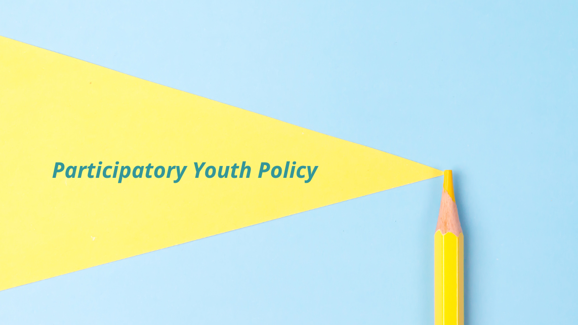 Participatory youth policy: co-operation with youth councils in Ukraine