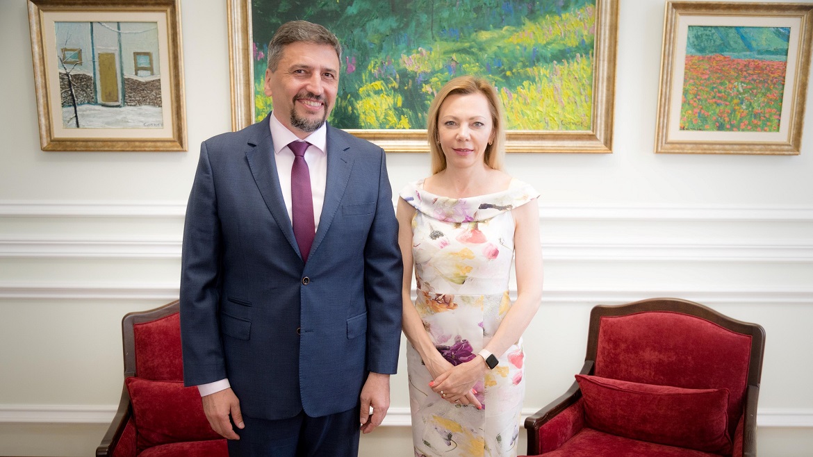 Head of the Council of Europe Office in Ukraine meets with the Deputy ...
