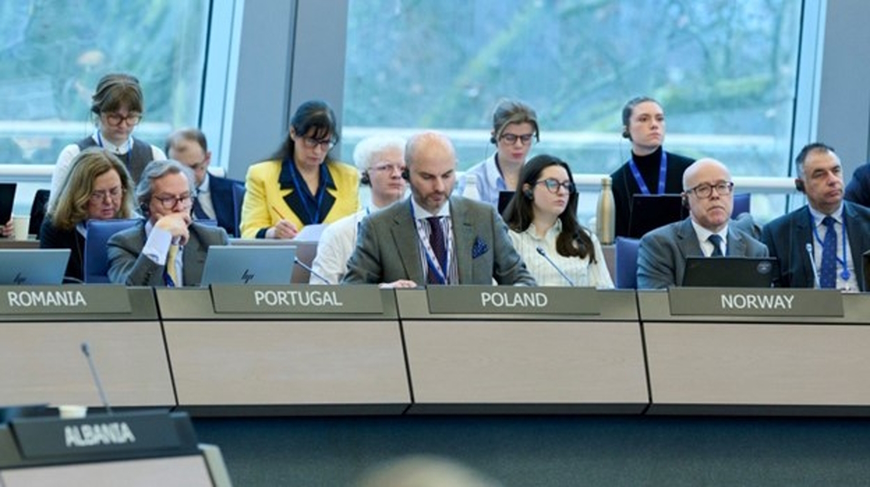 Рекомендації Ради Європи щодо штучного інтелекту та насильства стосовно жінок і дівчат, вчинюваного з використанням технологій, тепер доступні українською мовою